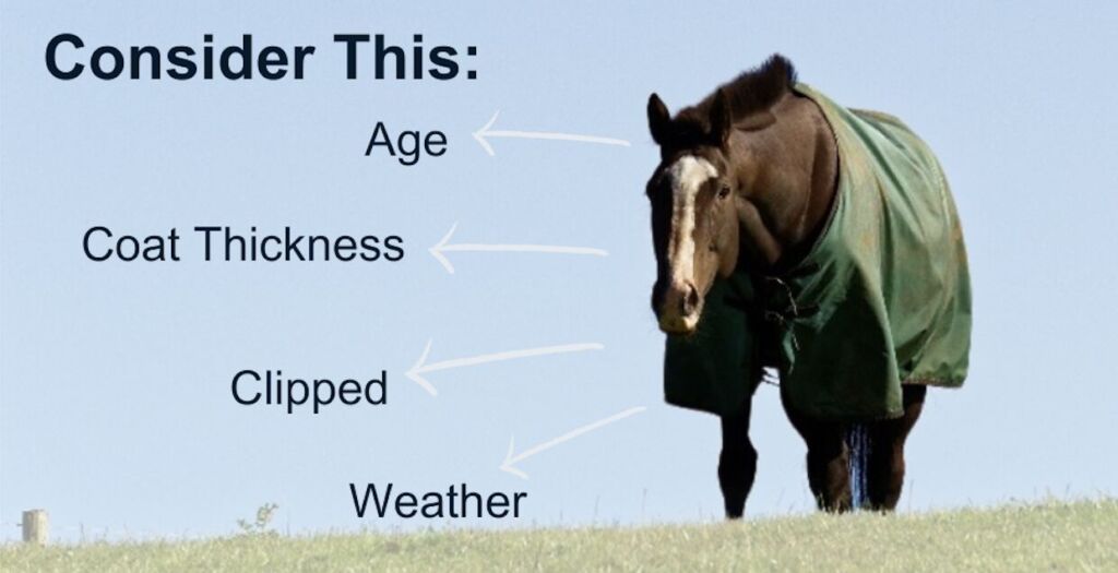 Factors like the horse's age, coat thickness, and whether was clipped or not need to be considered when deciding if you want to blanket your horse. Also the weather including temperature, wind and rain play a role in this decision.