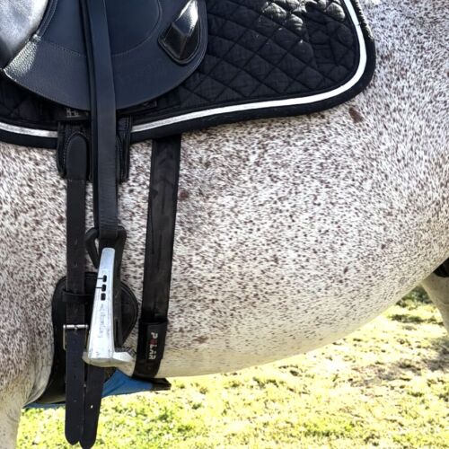 The Polar heart rate monitor used on a saddled horse to monitor the horse's heart rate during training